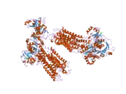 2c9m: STRUCTURE OF (SR) CALCIUM-ATPASE IN THE CA2E1 STATE SOLVED IN A P1 CRYSTAL FORM.