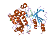 2cdz: CRYSTAL STRUCTURE OF THE HUMAN P21-ACTIVATED KINASE 4 IN COMPLEX WITH CGP74514A