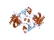 2cko: CRYSTAL STRUCTURE OF HUMAN CHOLINE KINASE ALPHA 2