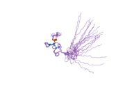 2csz: Solution Structure of the RING domain of the Synaptotagmin-like protein 4