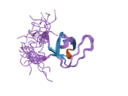 2ct4: Solution structure of the SH3 domain of the Cdc42-interacting protein 4