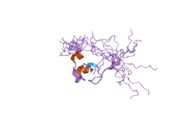 2d8t: Solution structure of the RING domain of the human RING finger protein 146