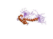 2da6: Solution structure of the homeobox domain of Hepatocyte nuclear factor 1-beta (HNF-1beta)