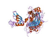 2dhs: Solution Structure of Nucleic Acid Binding Protein CUGBP1ab and its Binding Study with DNA and RNA