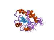 2diz: The solution structure of the third thioredoxin domain of human Thioredoxin domain-containing protein 5