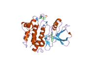 2dq7: Crystal Structure of Fyn kinase domain complexed with staurosporine