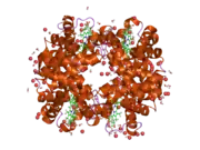 2dxm: Neutron Structure Analysis of Deoxy Human Hemoglobin