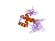 2e19: Solution structure of the homeobox domain from human NIL-2-A zinc finger protein, transcription factor 8