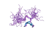 2e45: Solution structure of Fe65 WW domain