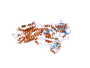 2eas: Crystal structure of the SR CA2+-ATPASE with bound CPA