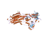 2eau: Crystal structure of the SR CA2+-ATPASE with bound CPA in the presence of curcumin