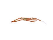 2efk: Crystal structure of the EFC domain of Cdc42-interacting protein 4