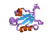 2ev8: Solution structure of the erythroid p55 PDZ domain