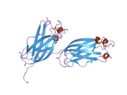 2f1x: Crystal structure of the TRAF-like domain of HAUSP/USP7 bound to a p53 peptide