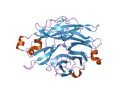 2f24: Crystal Structure of the Human Sialidase Neu2 E111Q Mutant