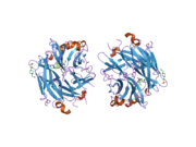 2f27: Crystal Structure of the Human Sialidase Neu2 E111Q-Q112E Double Mutant in Complex with DANA Inhibitor