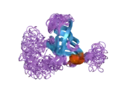 2f3i: Solution Structure of a Subunit of RNA Polymerase II