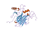 2ffk: Solution structure of the complex between poxvirus-encoded CC chemokine inhibitor vCCI and human MIP-1beta, minimized average structure