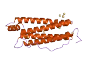 2fg4: Structure of Human Ferritin L Chain