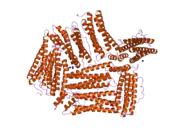 2fg8: Structure of Human Ferritin L Chain