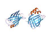 2frs: Crystal structure of the f15w mutant of apo-cellular retinoic acid binding protein type ii at 1.51 angstroms resolution