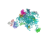 2ftc: Structural Model for the Large Subunit of the Mammalian Mitochondrial Ribosome