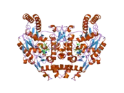 2g6j: Structure of rat nNOS (L337N) heme domain (4-aminobiopterin bound) complexed with NO