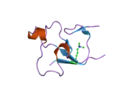 2g6q: Crystal structure of ING2 PHD domain in complex with H3K4Me3 peptide