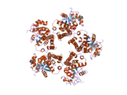 2ger: Crystal Structure and Oxidative Mechanism of Human Pyrroline-5-carboxylate Reductase