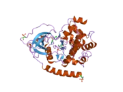 2gni: PKA fivefold mutant model of Rho-kinase with inhibitor Fasudil (HA1077)