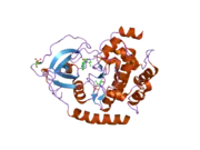 2gnl: PKA threefold mutant model of Rho-kinase with inhibitor H-1152P