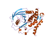 2gp0: HePTP Catalytic Domain (residues 44-339), S225D mutant