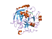 2gp9: Crystal structure of the slow form of thrombin in a self-inhibited conformation