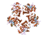 2gra: crystal structure of Human Pyrroline-5-carboxylate Reductase complexed with nadp