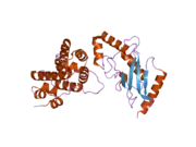 2grr: Crystal Structure of human RanGAP1-Ubc9-D127S