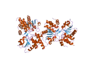 2gwo: crystal structure of TMDP