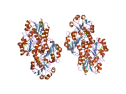 2h1s: Crystal Structure of a Glyoxylate/Hydroxypyruvate reductase from Homo sapiens