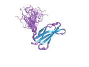 2h45: Solution structure of the second type III domain of human Fibronectin: ensemble of 25 structures