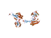 2h5g: Crystal structure of human pyrroline-5-carboxylate synthetase