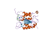 2hbz: Crystal structure of human caspase-1 (Arg286->Ala, Glu390->Ala) in complex with 3-[2-(2-benzyloxycarbonylamino-3-methyl-butyrylamino)-propionylamino]-4-oxo-pentanoic acid (z-VAD-FMK)