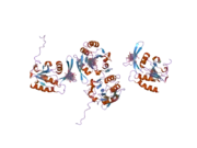 2hhl: Crystal structure of the human small CTD phosphatase 3 isoform 1