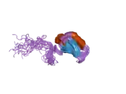 2hvz: Solution structure of the RRM domain of SR rich factor 9G8