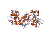 2i0b: Crystal structure of the GluR6 ligand binding core ELKQ mutant dimer at 1.96 Angstroms Resolution