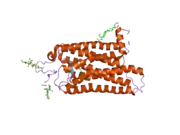 2i35: Crystal structure of rhombohedral crystal form of ground-state rhodopsin