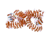 2iae: Crystal structure of a protein phosphatase 2A (PP2A) holoenzyme.