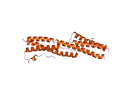 2iak: Crystal Structure of a protease resistant fragment of the plakin domain of Bullous Pemphigoid Antigen1 (BPAG1)