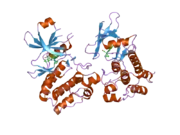 2iwi: CRYSTAL STRUCTURE OF THE HUMAN PIM2 IN COMPLEX WITH A RUTHENIUM ORGANOMETALLIC LIGAND RU1