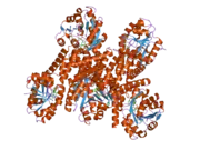 2izz: CRYSTAL STRUCTURE OF HUMAN PYRROLINE-5-CARBOXYLATE REDUCTASE