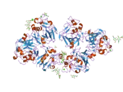 2j0y: L-FICOLIN COMPLEXED TO B-1,3-D-GLUCAN