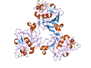 2j5z: H-FICOLIN COMPLEXED TO GALACTOSE